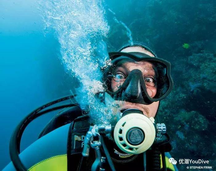 植物大战僵尸