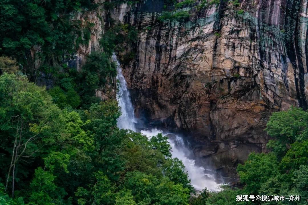 因疫情医院强制患者出院困在半路回不去家怎么办？游戏画面